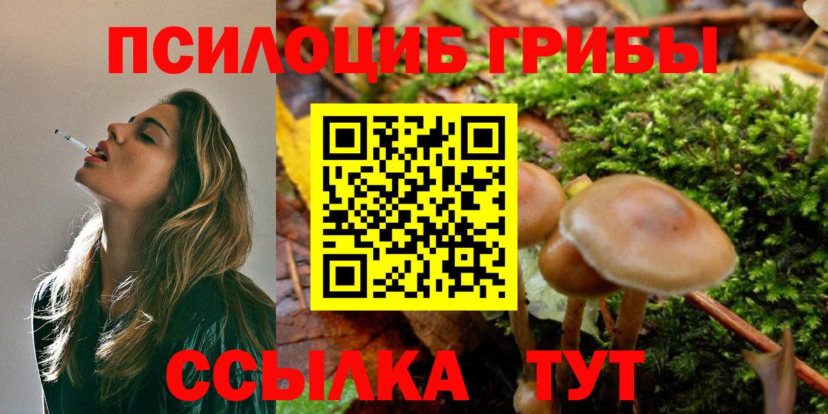 Псилоцибиновые грибы Psilocybe  Галлюциногенные грибы MAGIC MUSHROOMS  Вход с VPN  Михайловка 